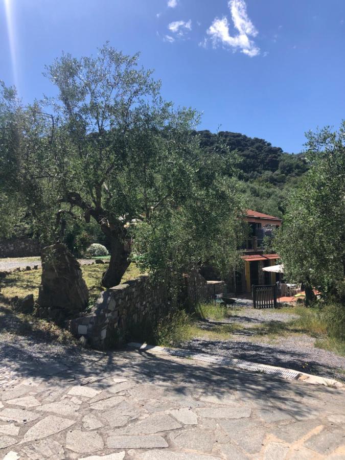 Ca Di Matti - Casa Oliva Diano Borello 외부 사진